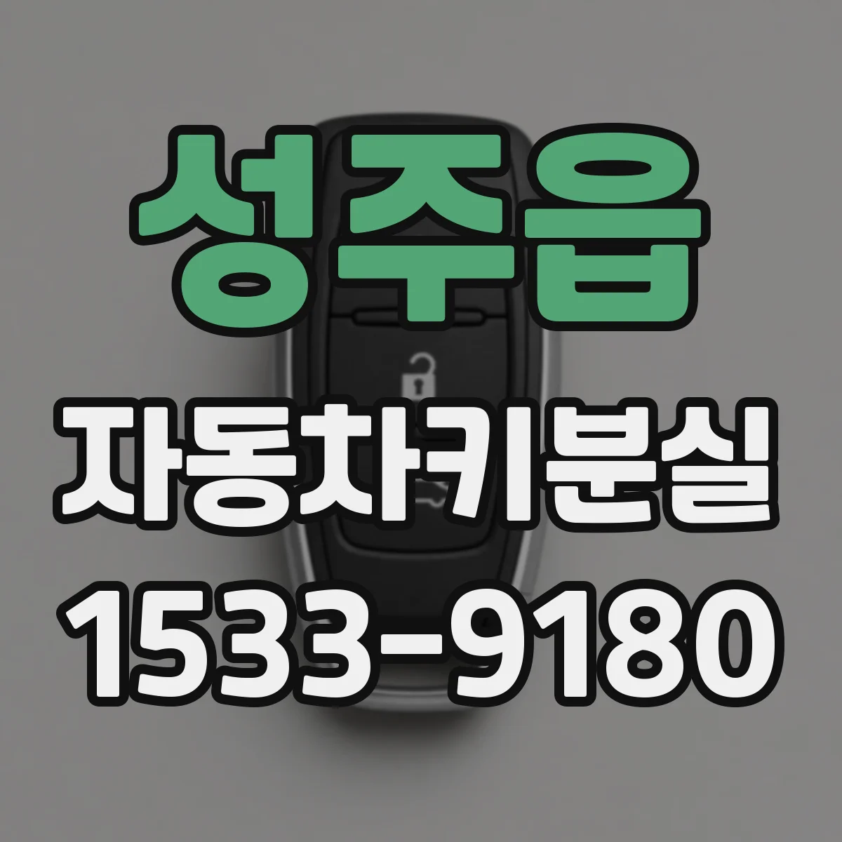 성주읍 자동차키분실