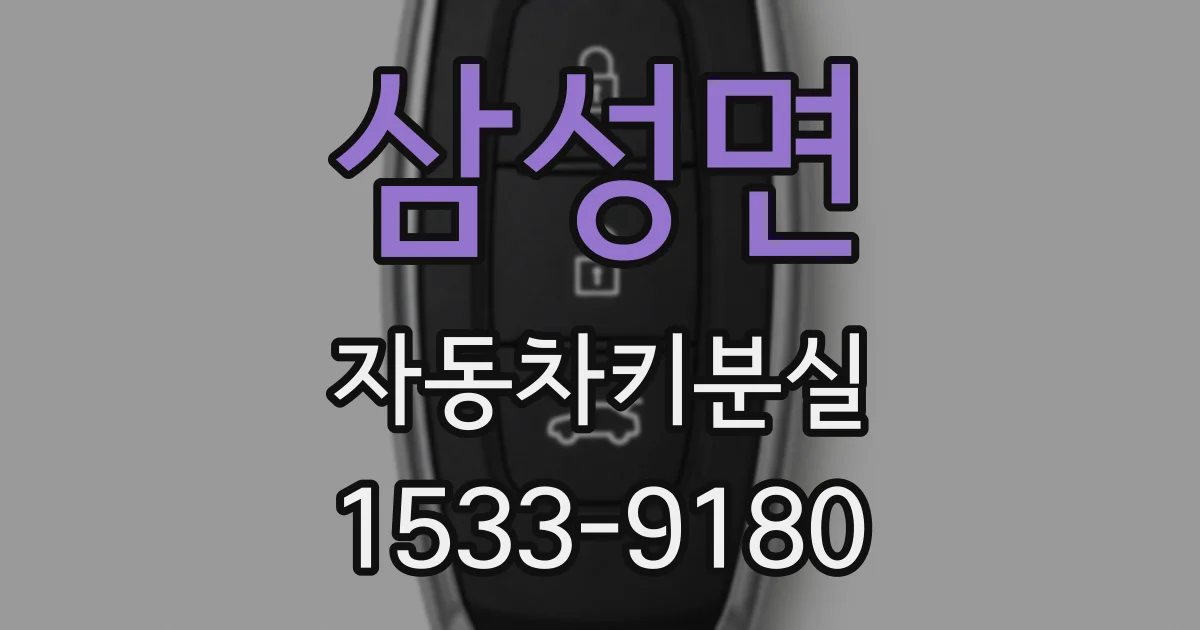 삼성면 자동차키분실