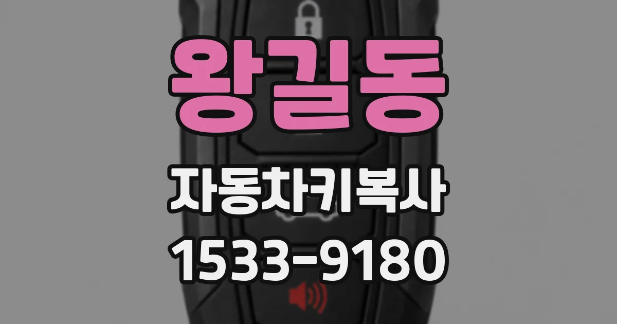 왕길동 자동차키복사