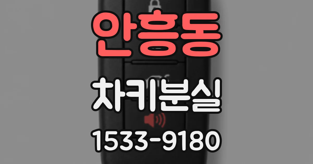 안흥동 차키분실
