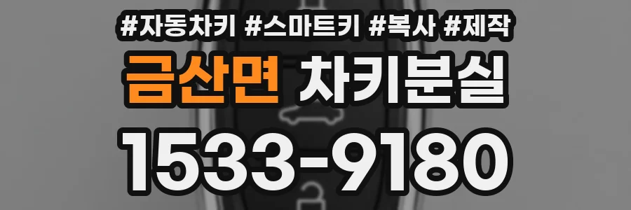 금산면 차키분실