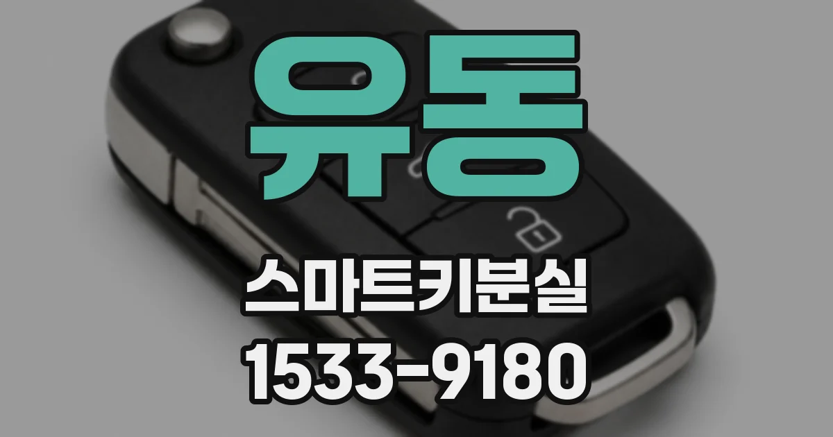 유동 스마트키분실