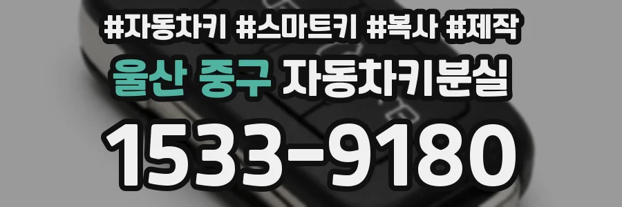 울산 중구 자동차키분실