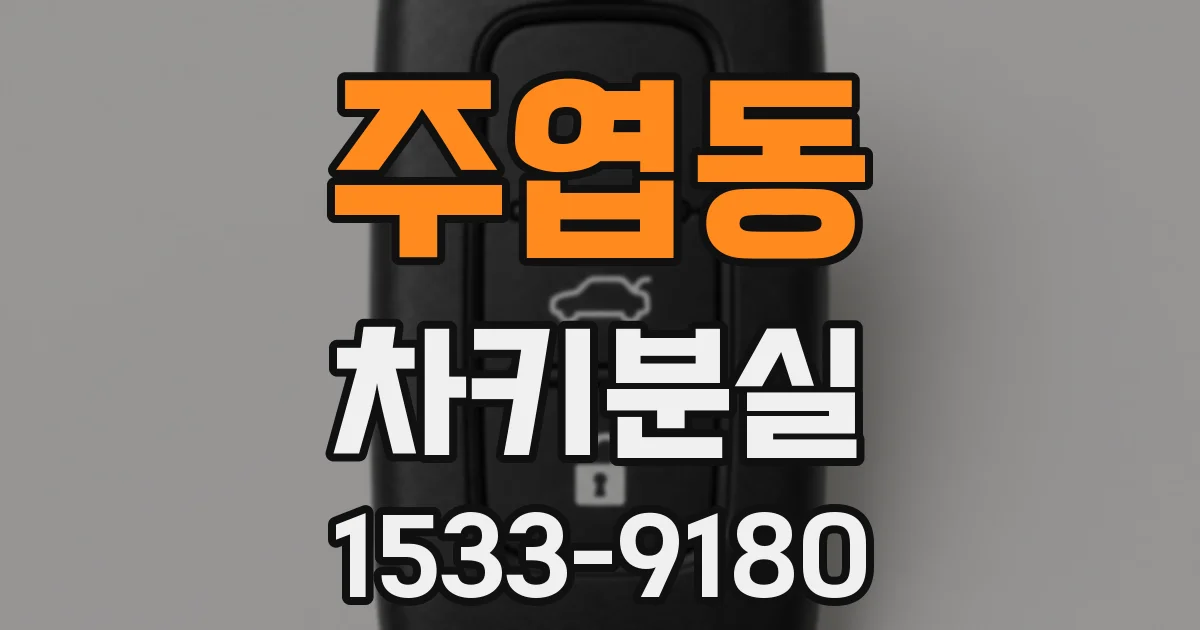 주엽동 차키분실