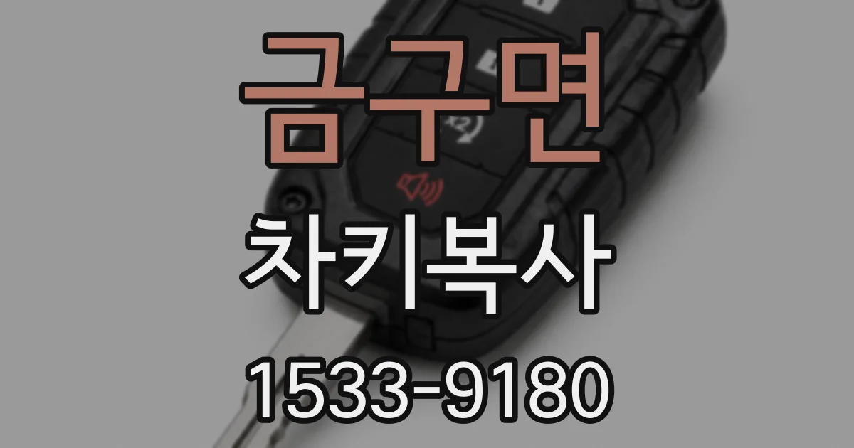 금구면 차키복사