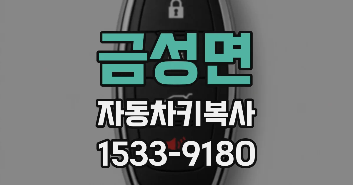 금성면 자동차키복사