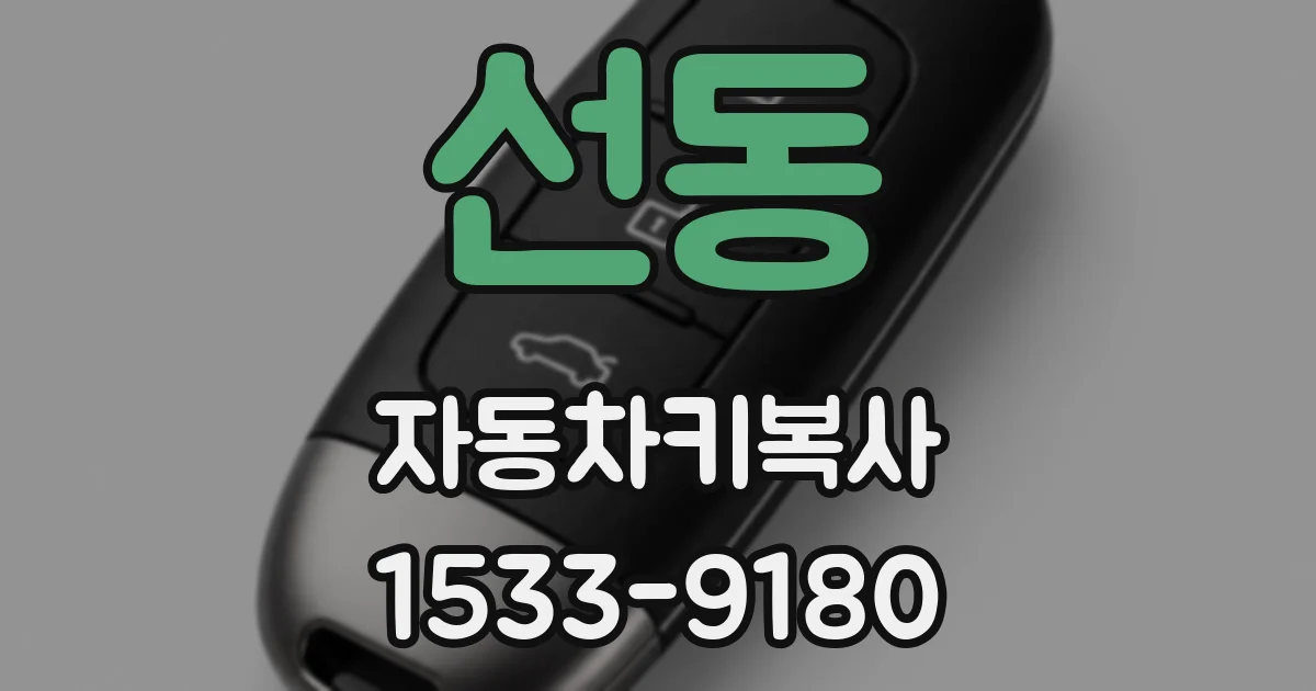 선동 자동차키복사