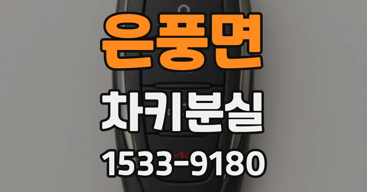 은풍면 차키분실