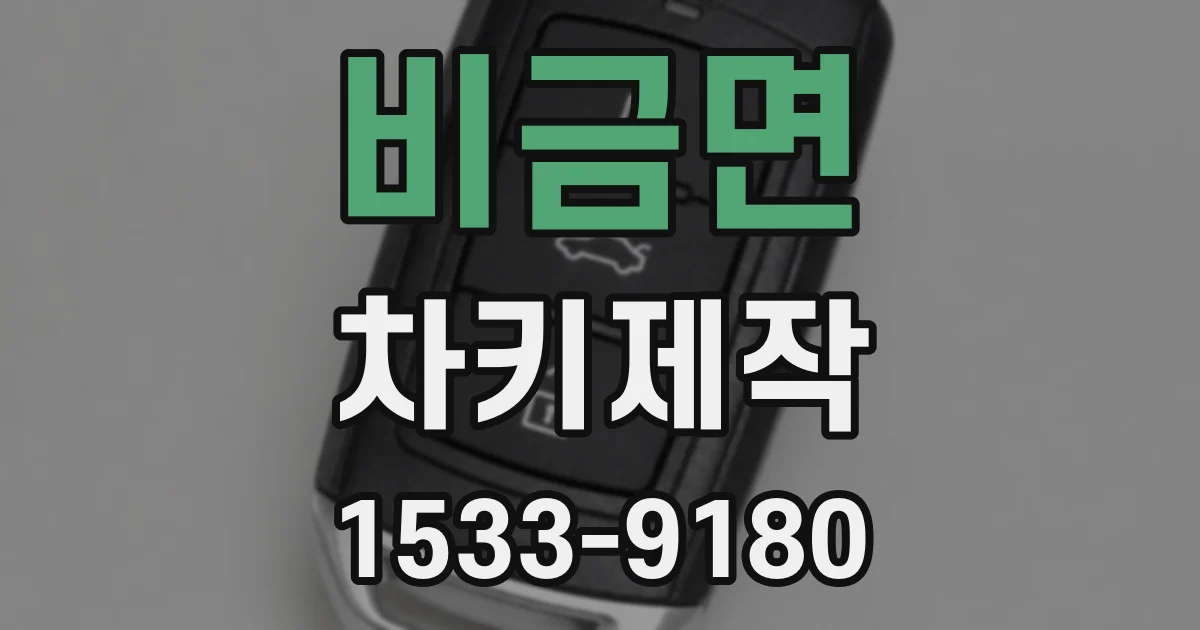 비금면 차키제작