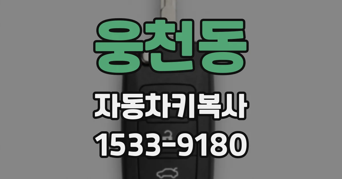 웅천동 자동차키복사