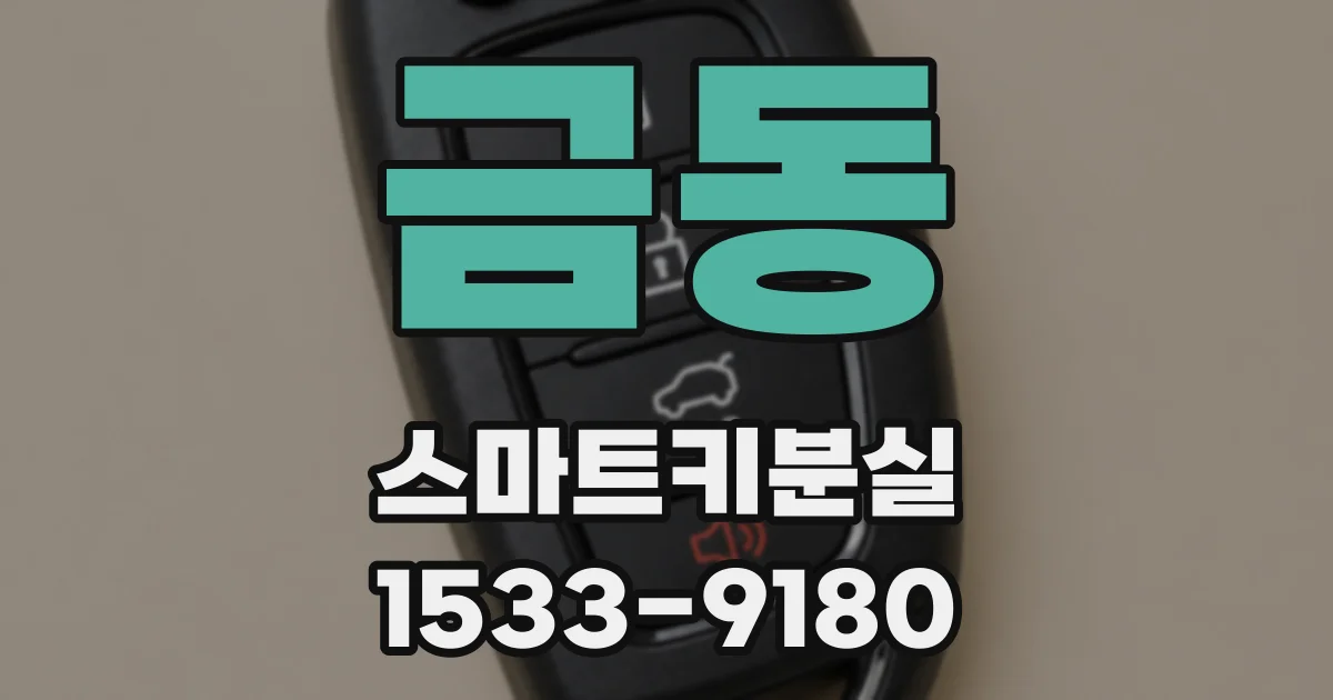 금동 스마트키분실