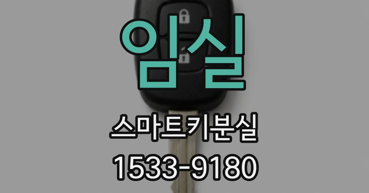 임실 스마트키분실