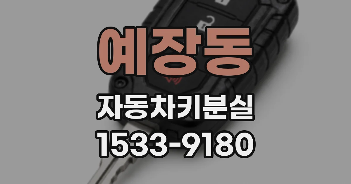 예장동 자동차키분실