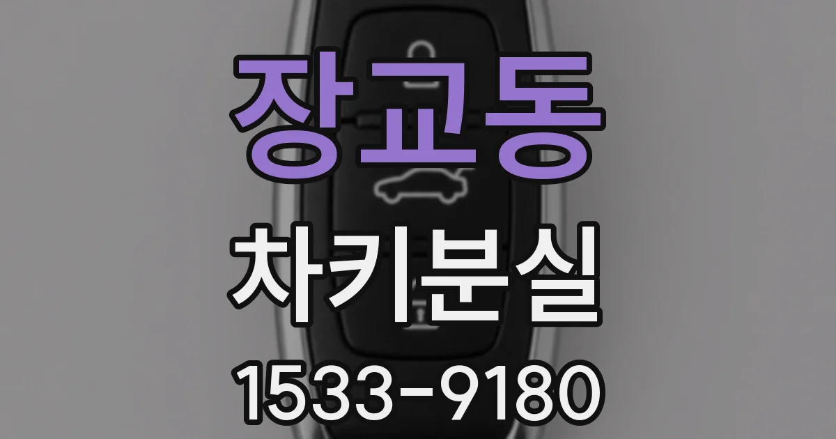 장교동 차키분실