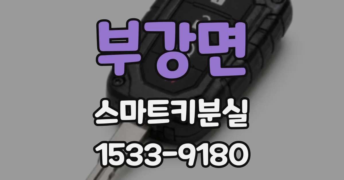 부강면 스마트키분실
