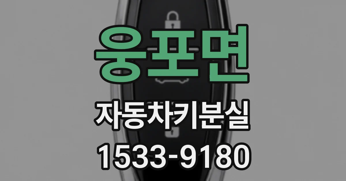 웅포면 자동차키분실