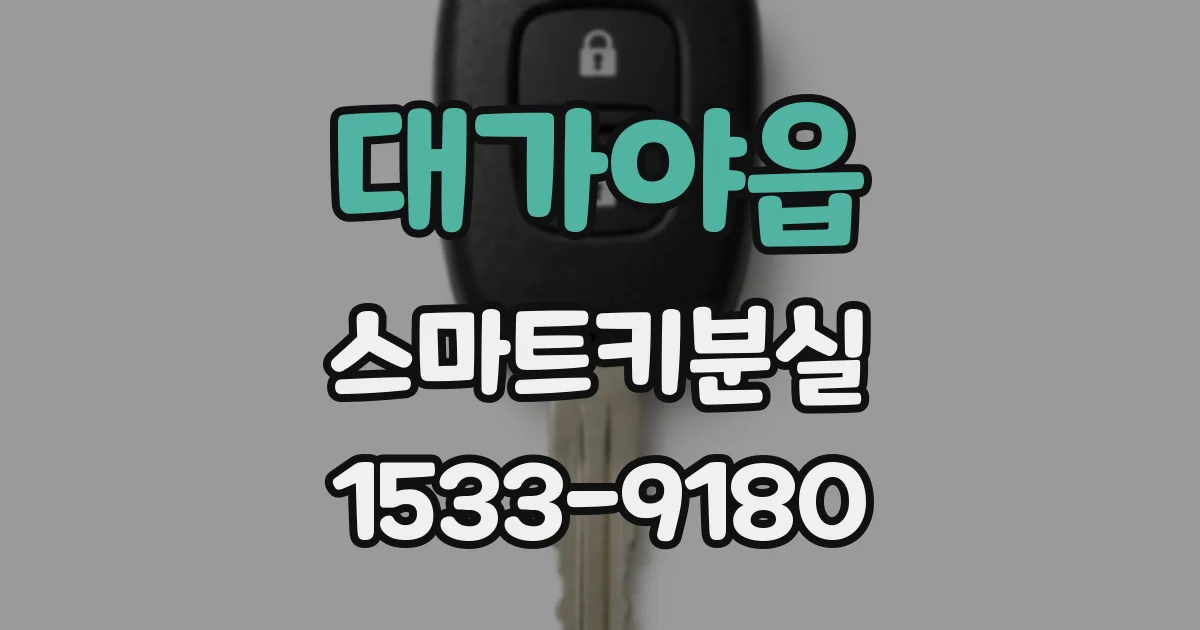대가야읍 스마트키분실