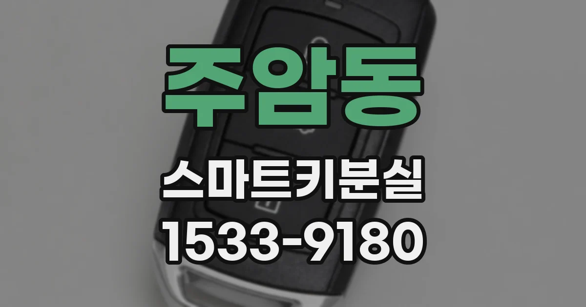 주암동 스마트키분실