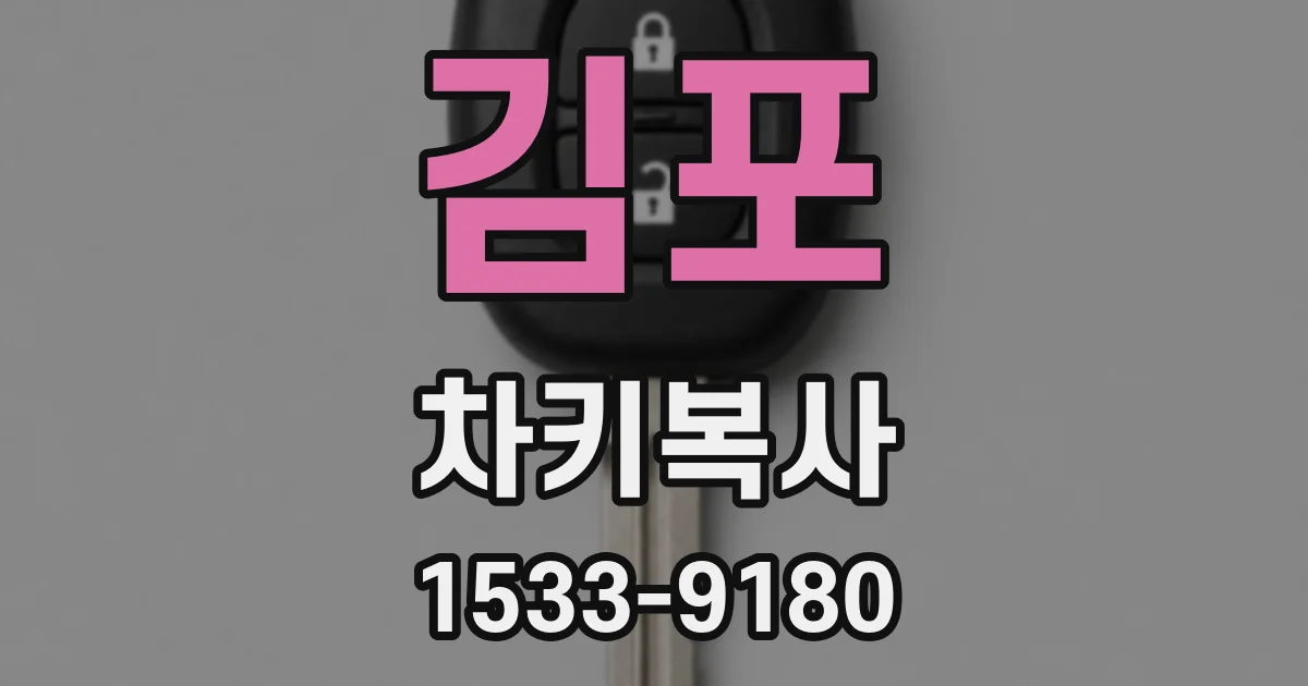 김포 차키복사