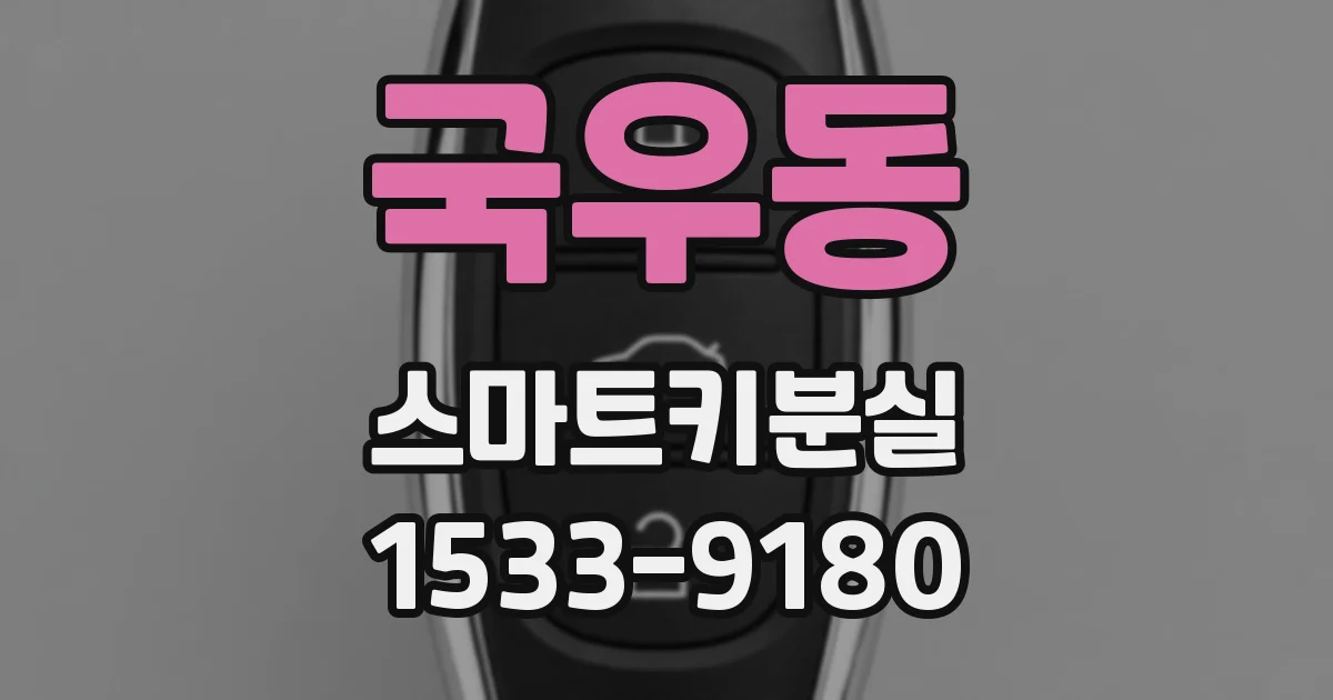 국우동 스마트키분실