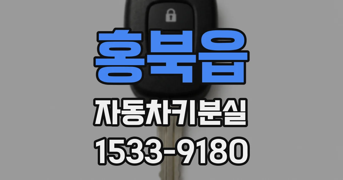 홍북읍 자동차키분실