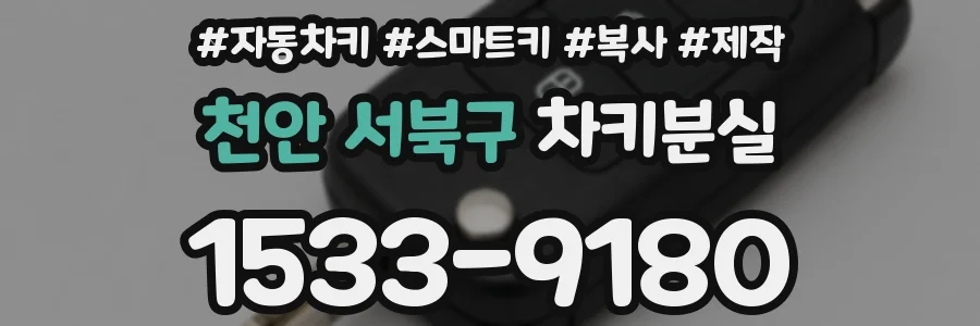 천안 서북구 차키분실