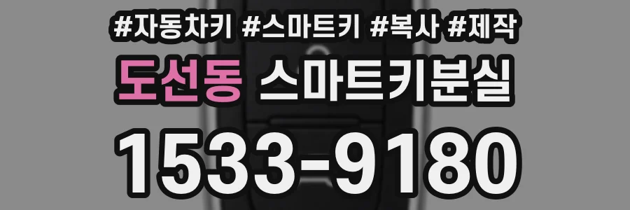 도선동 스마트키분실