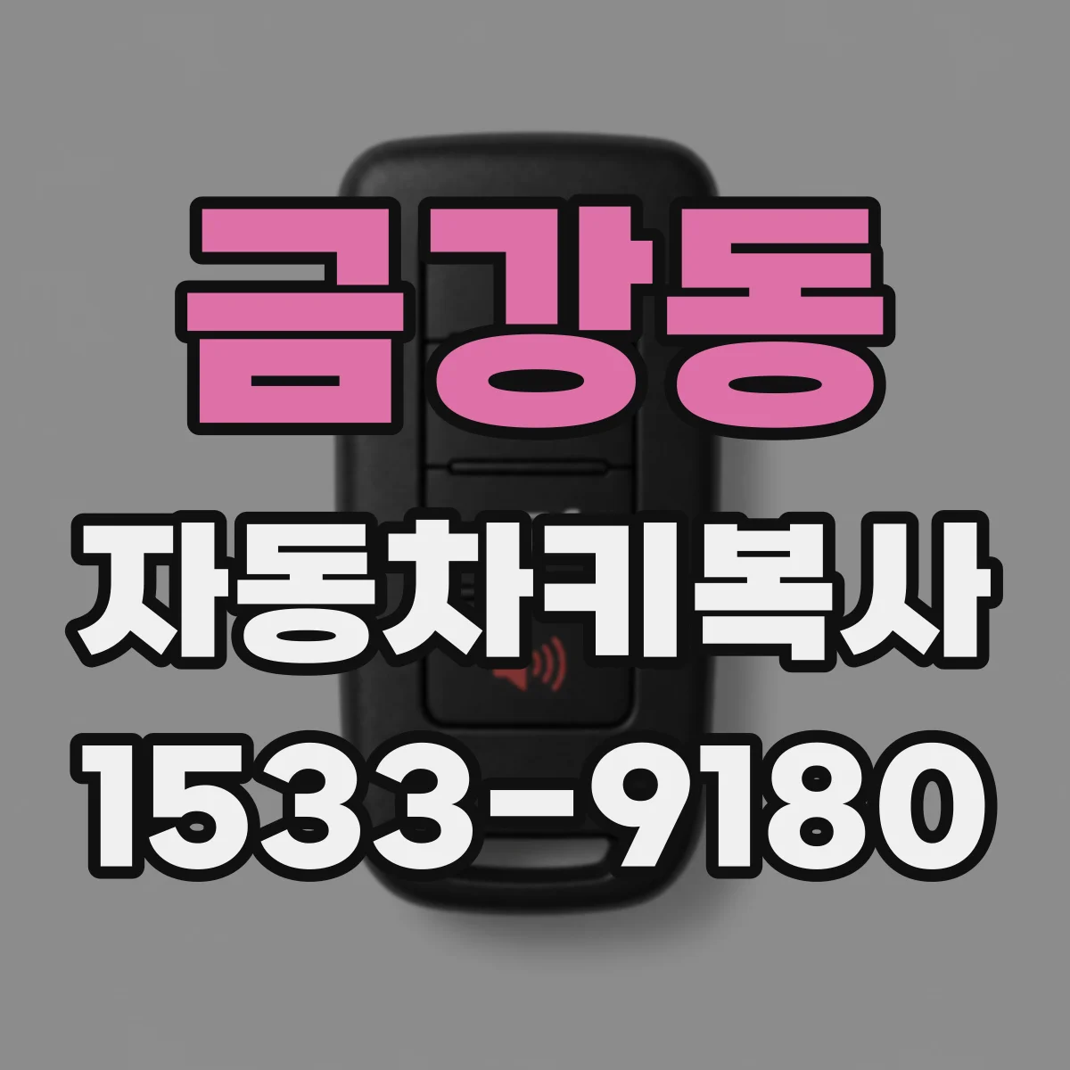 금강동 자동차키복사