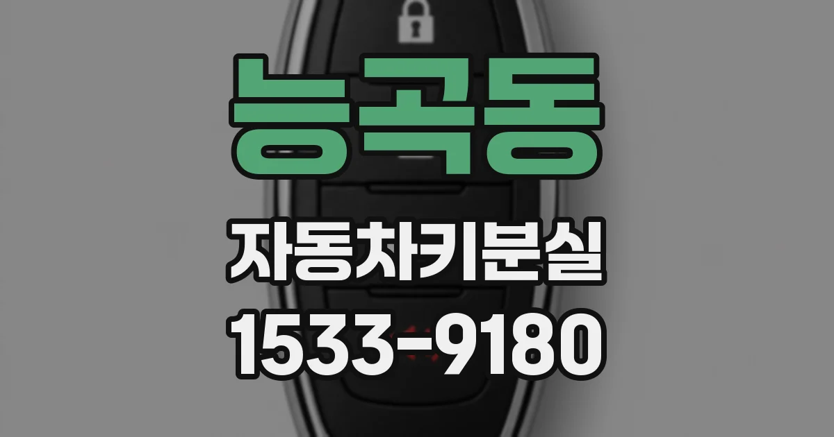 능곡동 자동차키분실