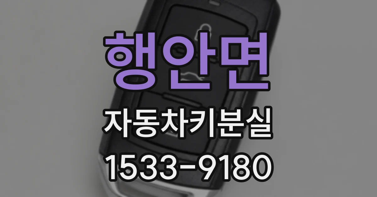 행안면 자동차키분실