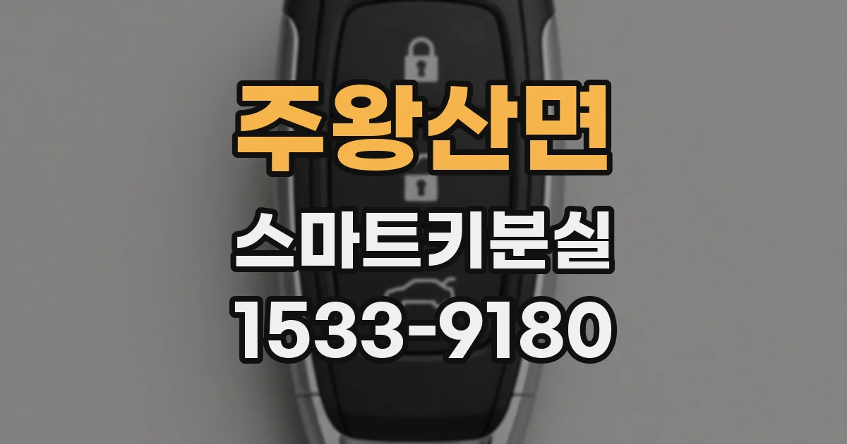 주왕산면 스마트키분실