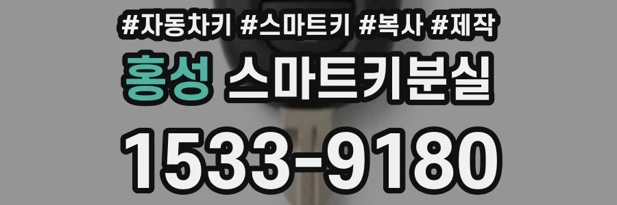 홍성 스마트키분실