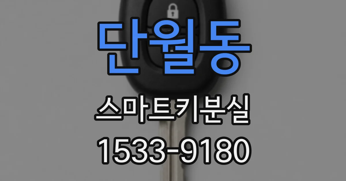 단월동 스마트키분실