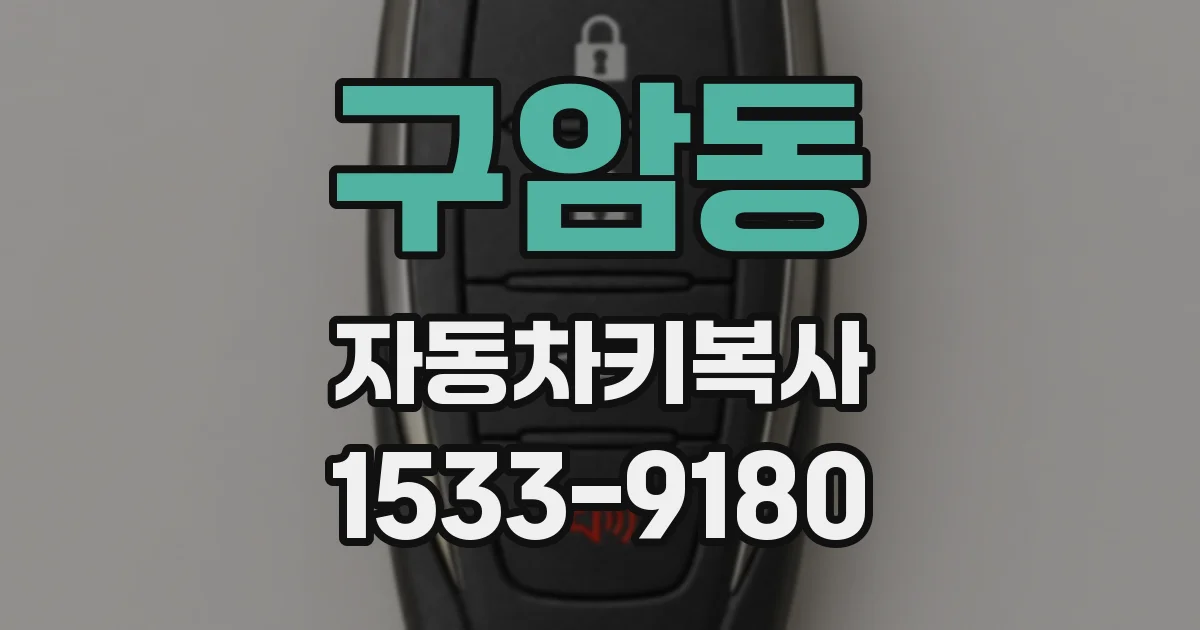 구암동 자동차키복사