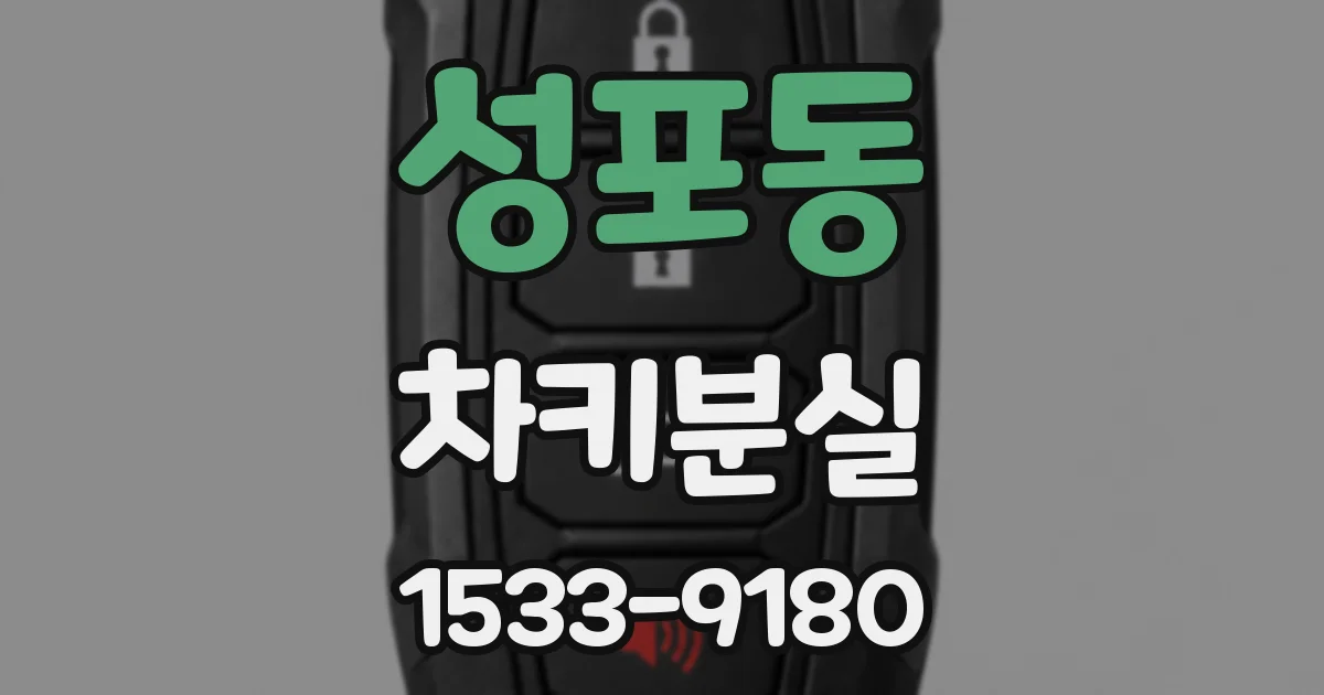 성포동 차키분실