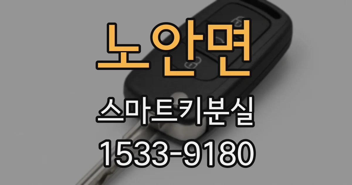 노안면 스마트키분실