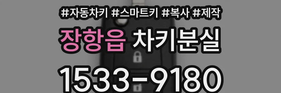 장항읍 차키분실