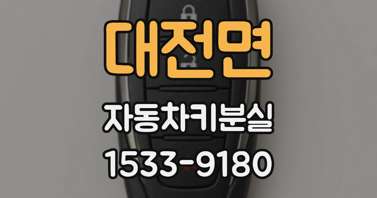 대전면 자동차키분실