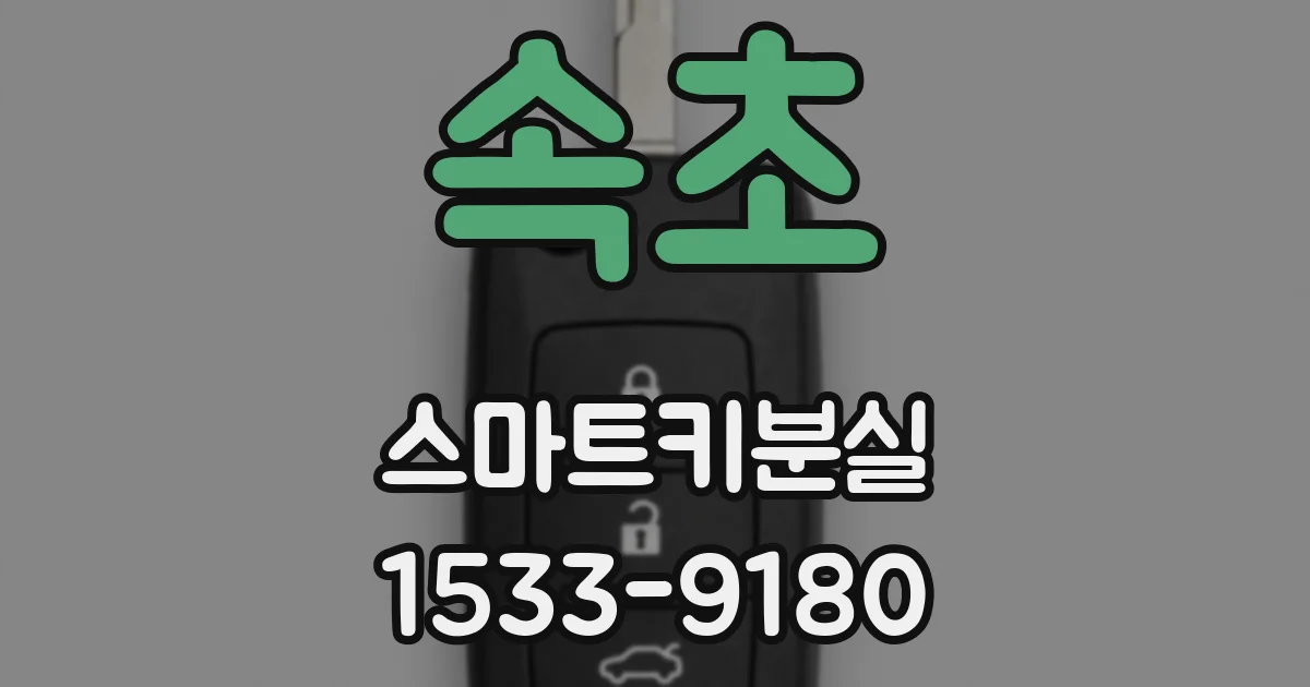속초 스마트키분실