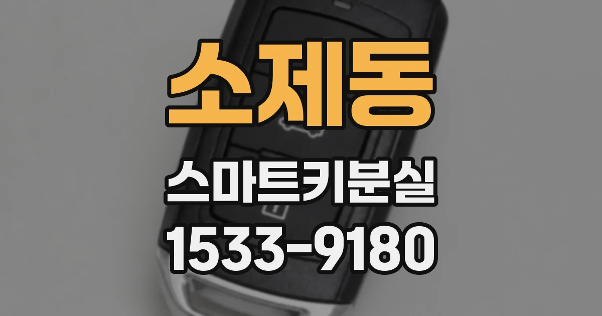 소제동 스마트키분실