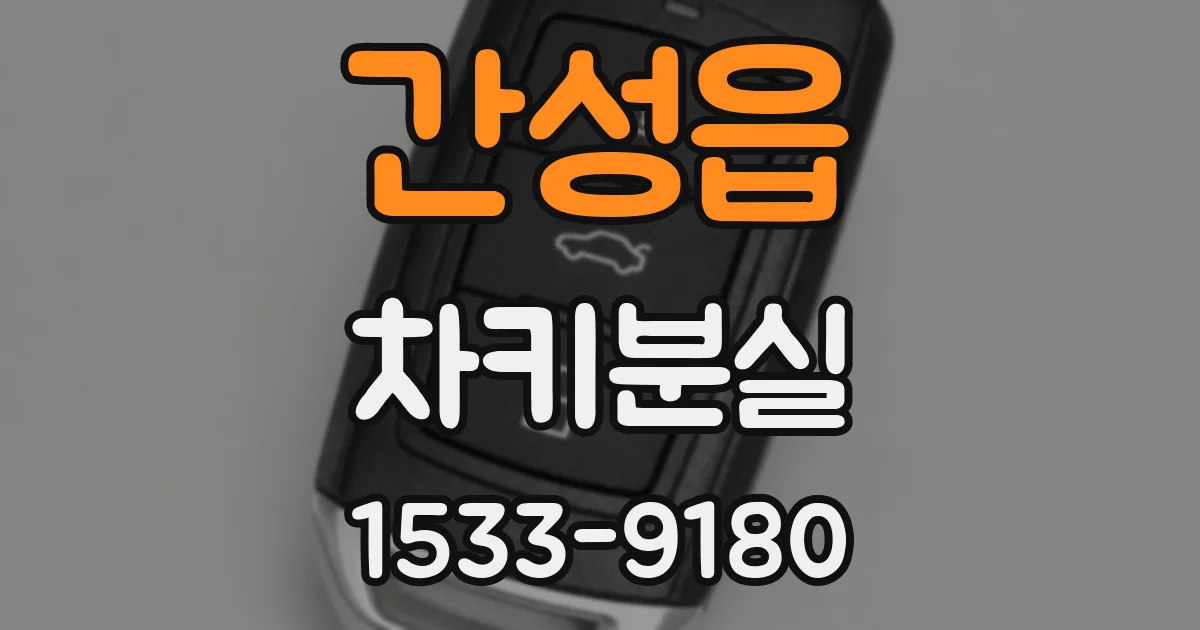 간성읍 차키분실
