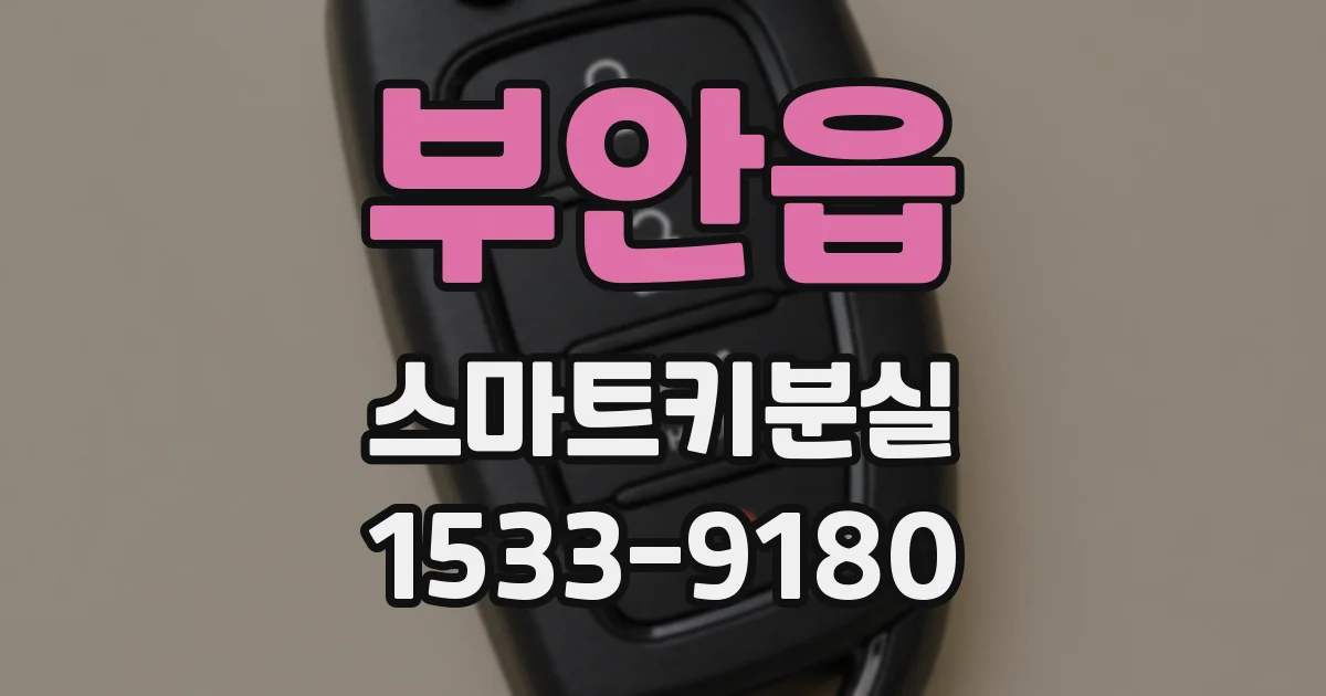 부안읍 스마트키분실