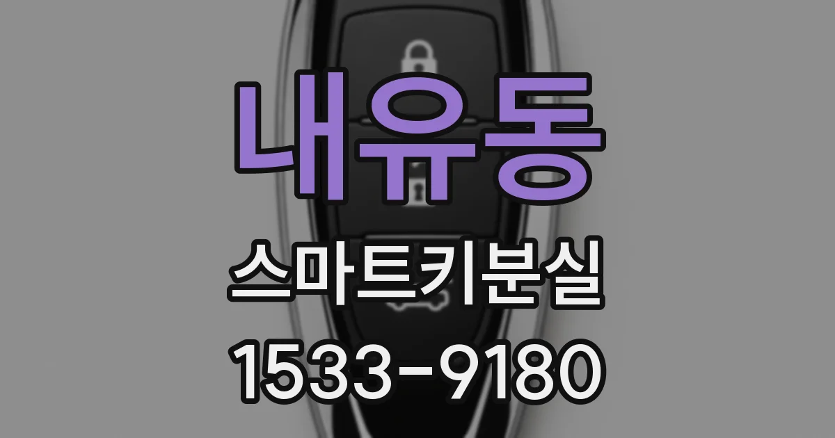 내유동 스마트키분실