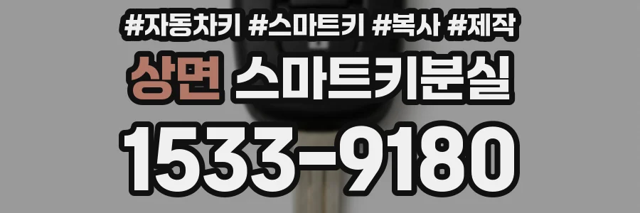 상면 스마트키분실