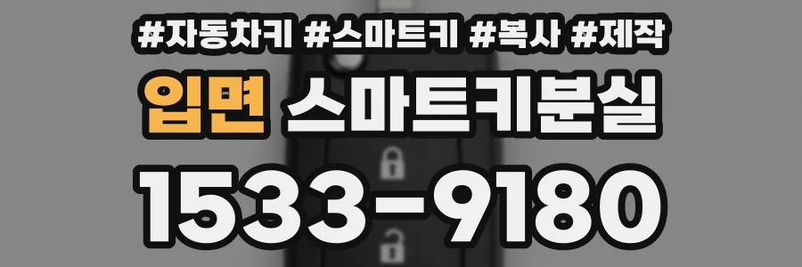 입면 스마트키분실