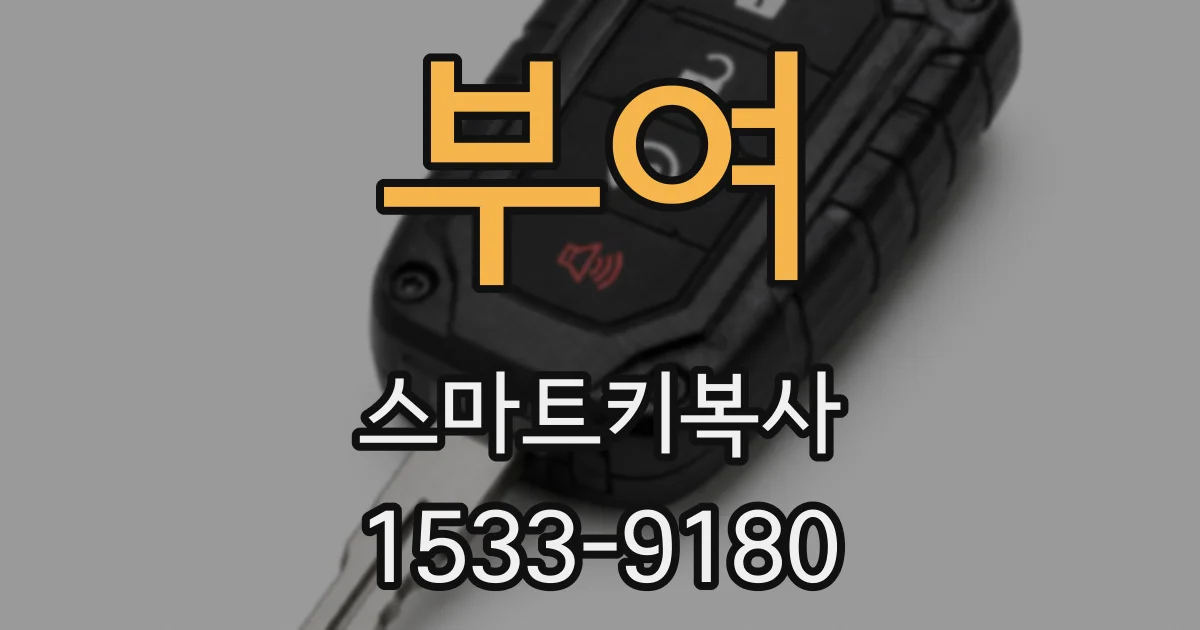 부여 스마트키복사