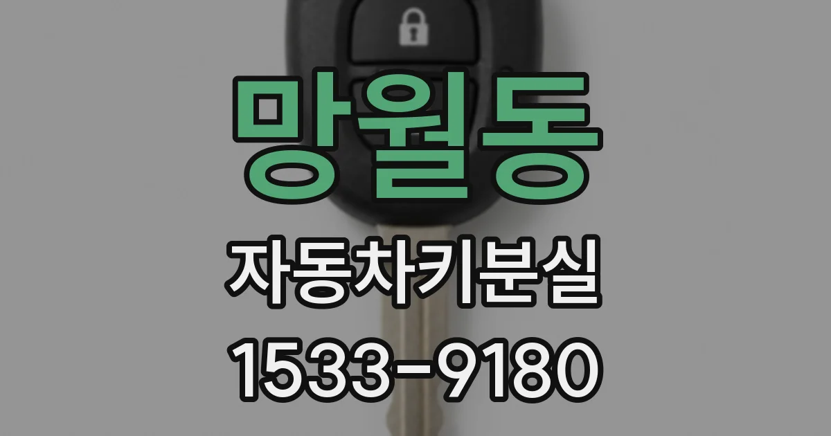망월동 자동차키분실