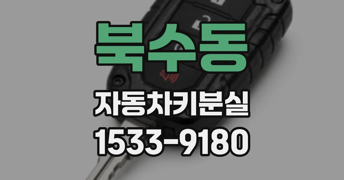 북수동 자동차키분실