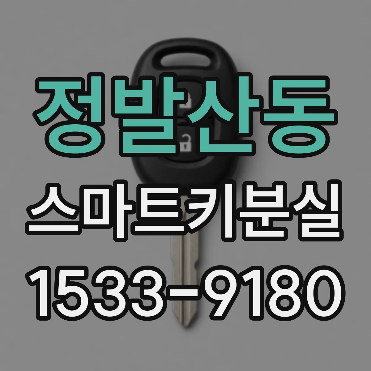 정발산동 스마트키분실