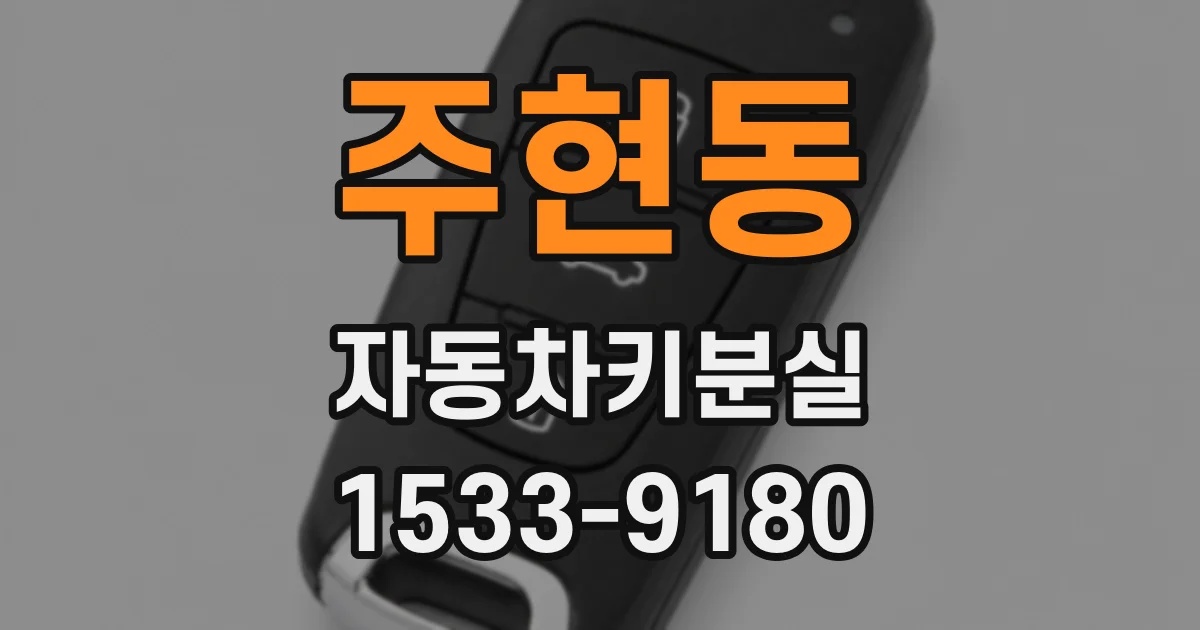 주현동 자동차키분실
